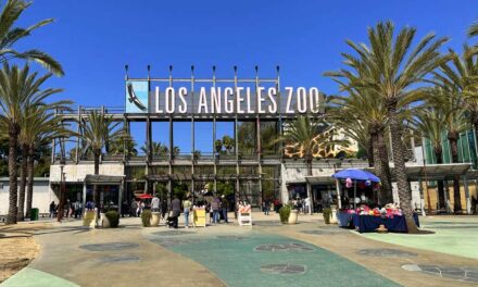 Los Angeles Zoo: A real family event with must-see attractions for all ages