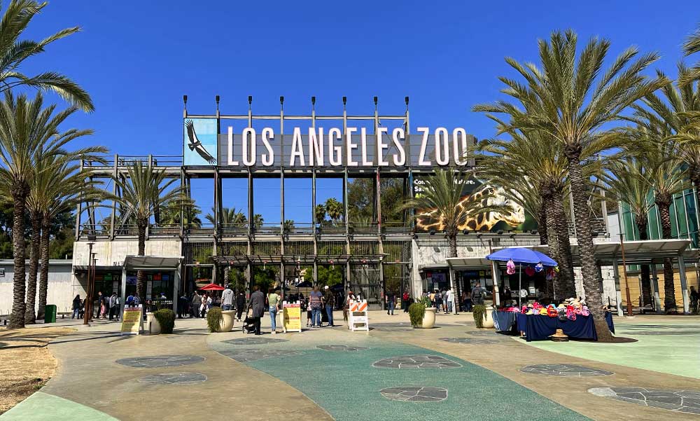 Los Angeles Zoo: A real family event with must-see attractions for all ages