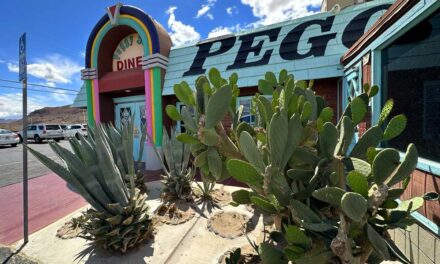 A Hidden Culinary Gem in the Mojave Desert – Peggy Dinners